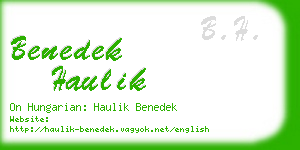 benedek haulik business card